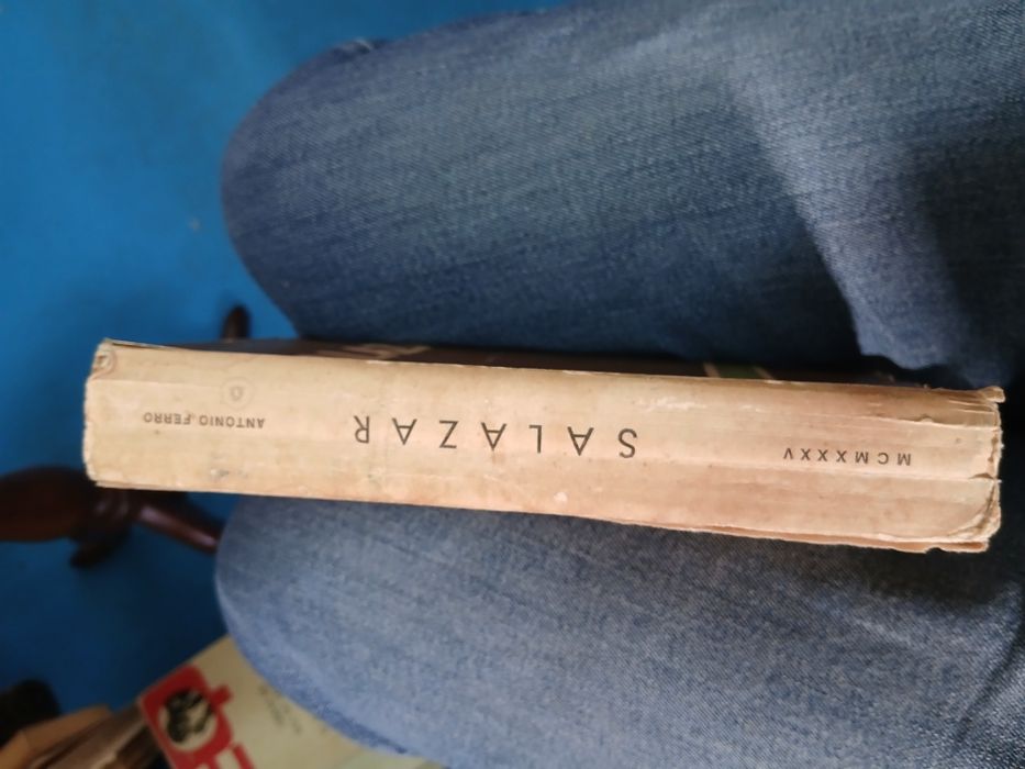 António Ferro, Salazar