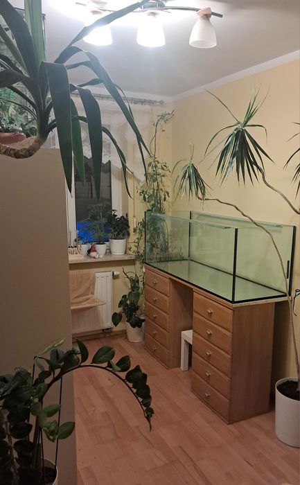 Sprzedam akwarium 375 l