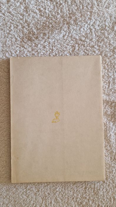 Livro "Canto Incerto" de Soledade Summavielle