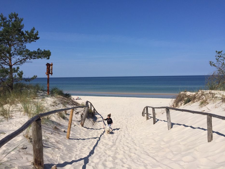 Domek Sasino „Mojo Miodno Checz”