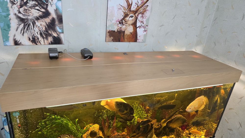 Акваріум 500 літрів