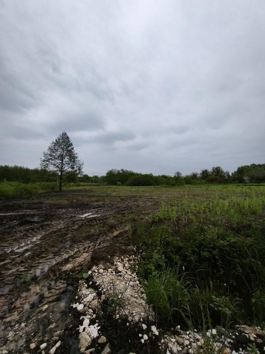 Земельна ділянка 20 сотих пі забудову Суховоля