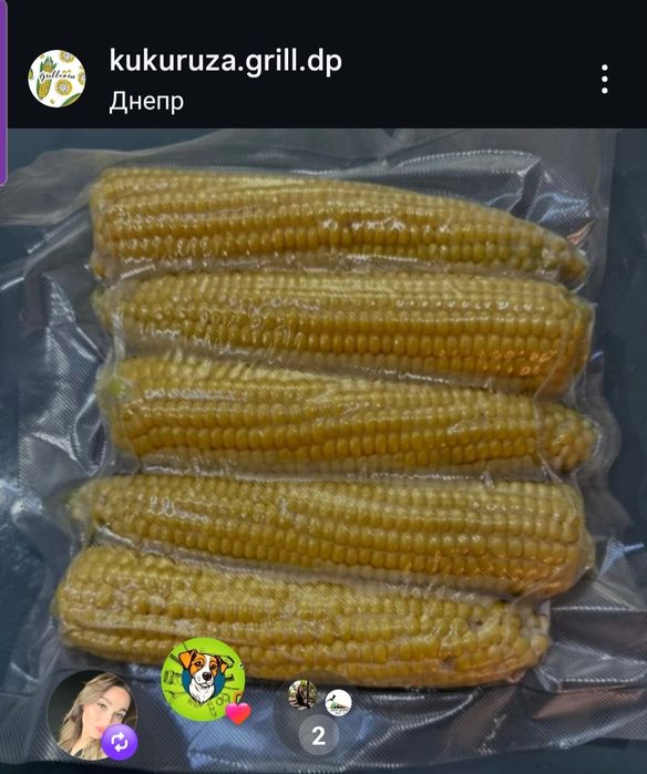 Кукурузы  сладкие