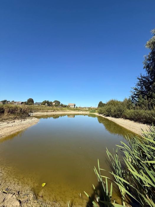 Земельна ділянка з будинком|с.Соснівка|Рівненська обл