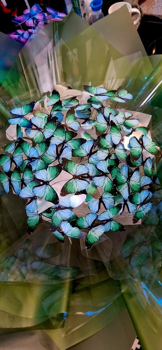 Букети з метеликів