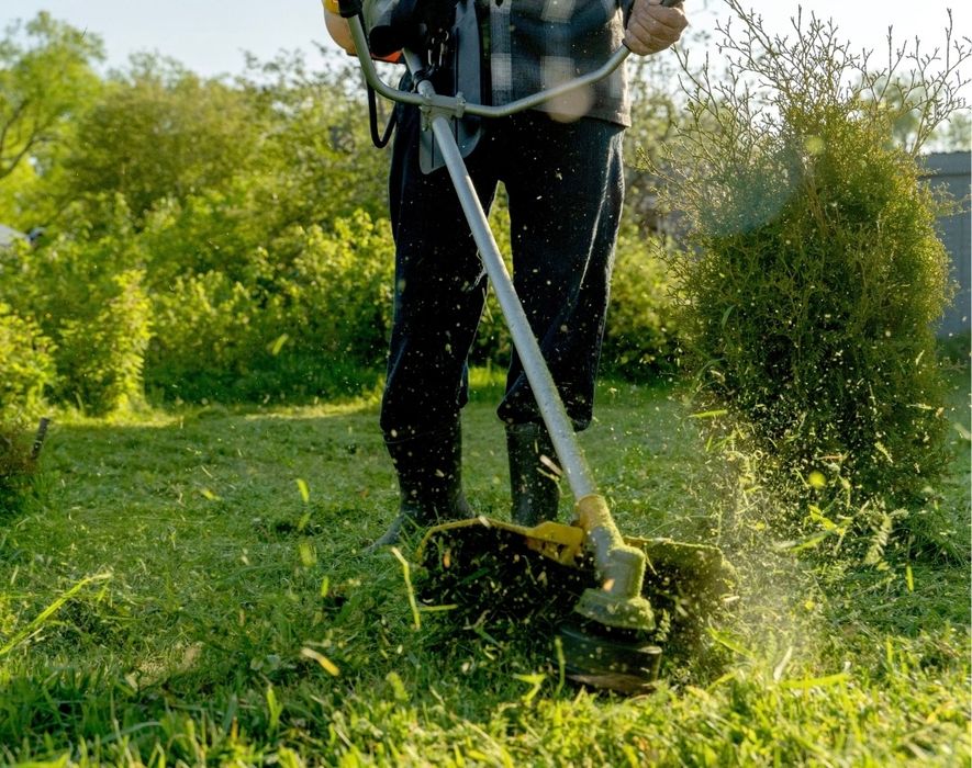 Lawn Cutting, Cleaning, and Maintenance