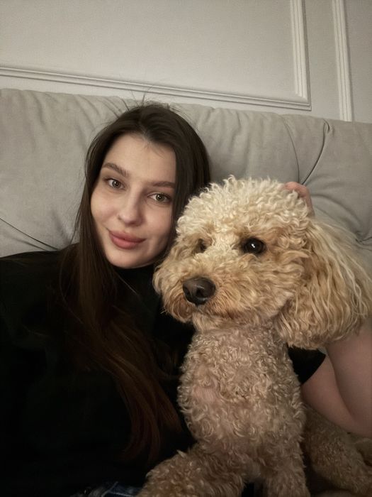 Індивідуальна перетримка ваших улюбленців. Собак. Зооняня. Лівий берег