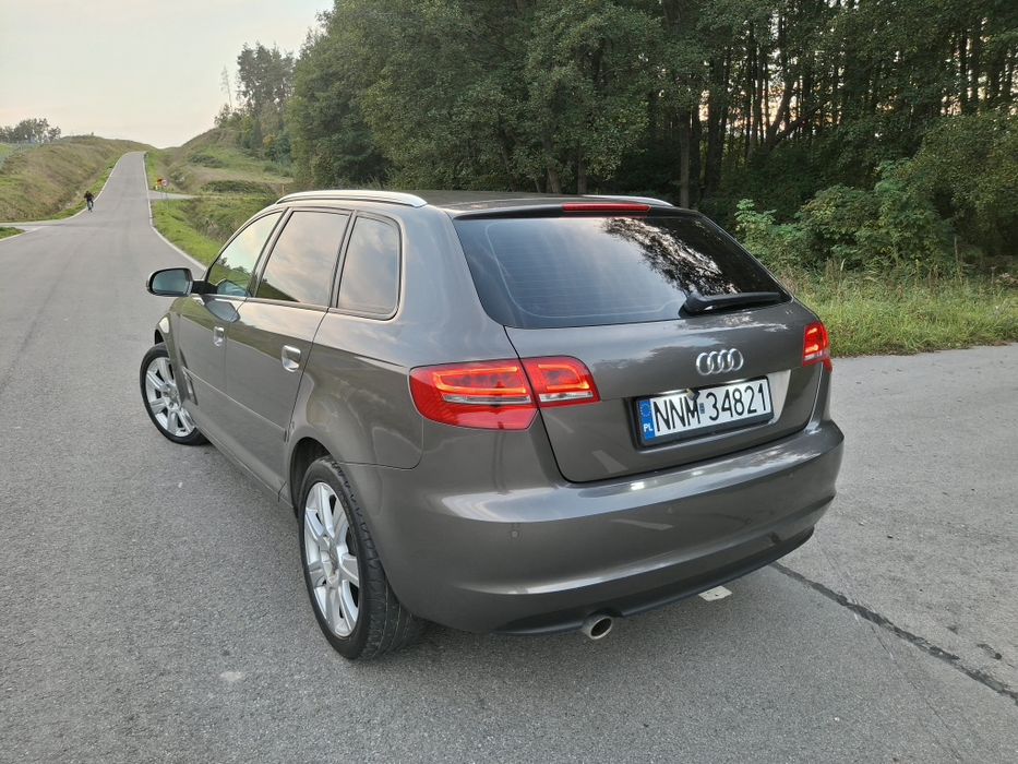 Audi A3 8P 2.0 TDI