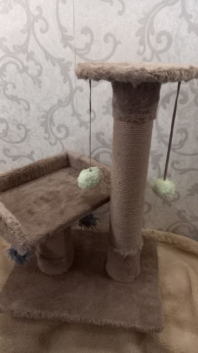 Когтеточки разные