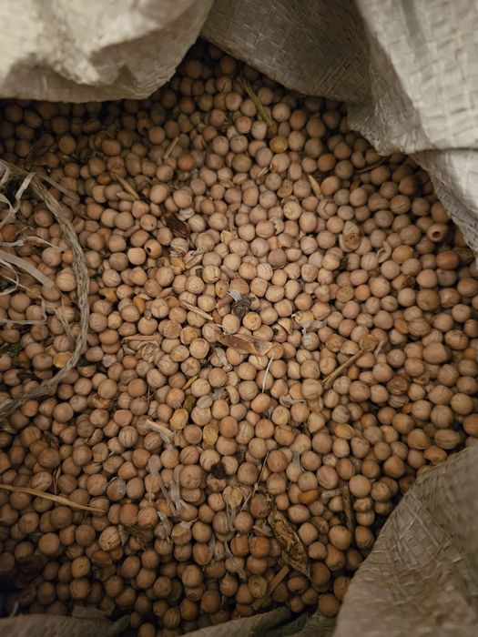 Artykuły wedkarskie