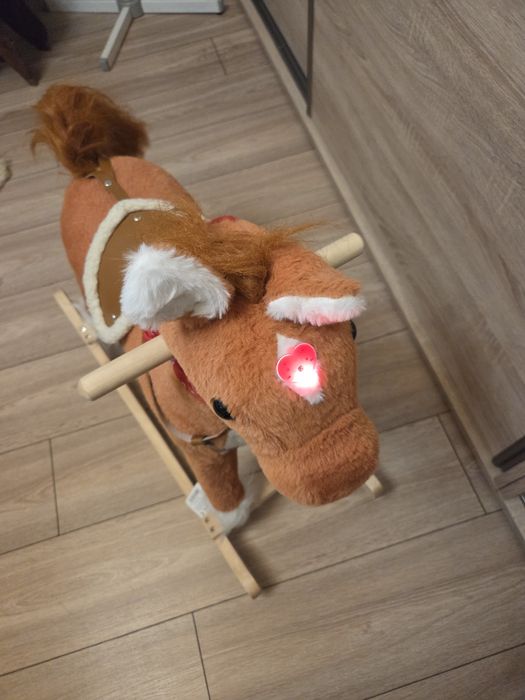 Konik, konik na biegunach, koń na biegunach, koń