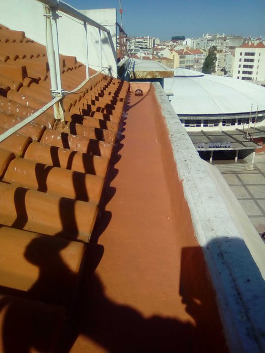 Carrinha plataforma elevatória Barquinha grua