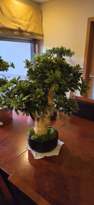 Plantas artificiais e semi artificiais