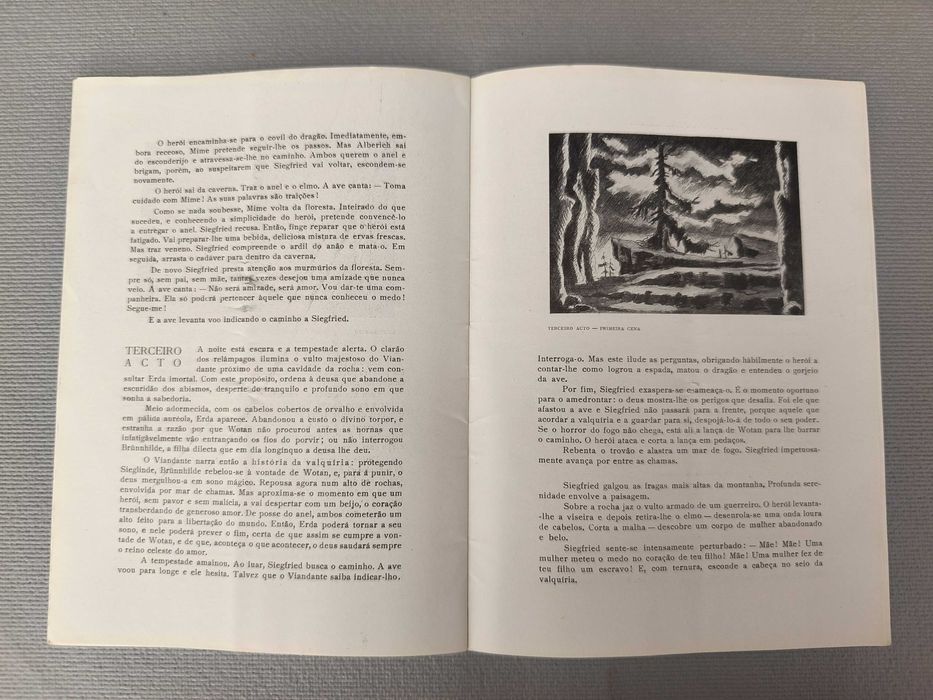 SIEGFRED - Wagner
Programa Ópera S. Carlos+ BILHETE