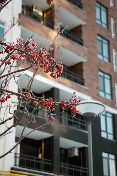 1к квартира в новій черзі. ТОП умови. Квартира Ірпінь. Біля Набережної