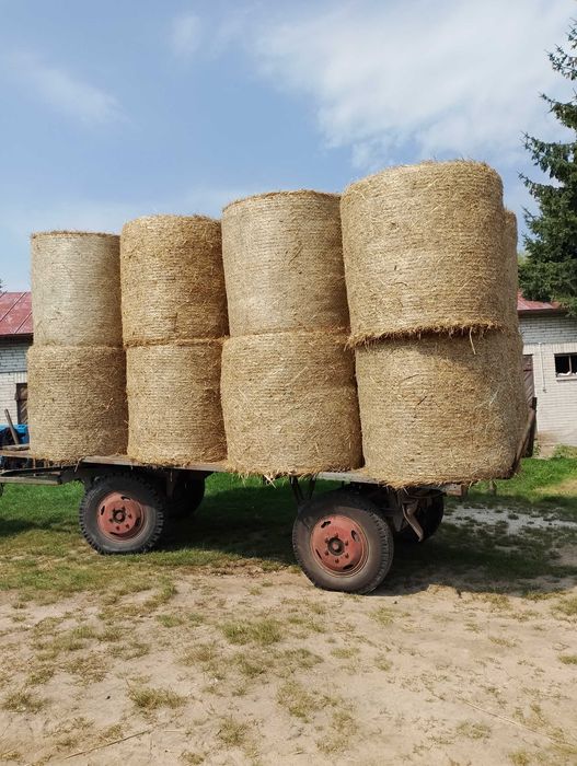 Sprzedam słomę w belach