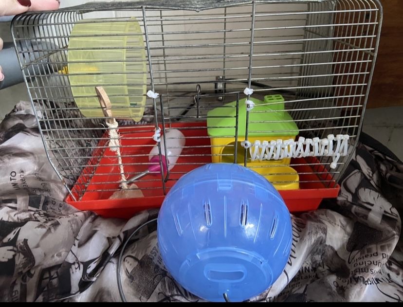 Клетка для хомяка со всеми принадлежностями