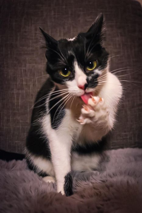 Czy ktoś mnie pokocha?