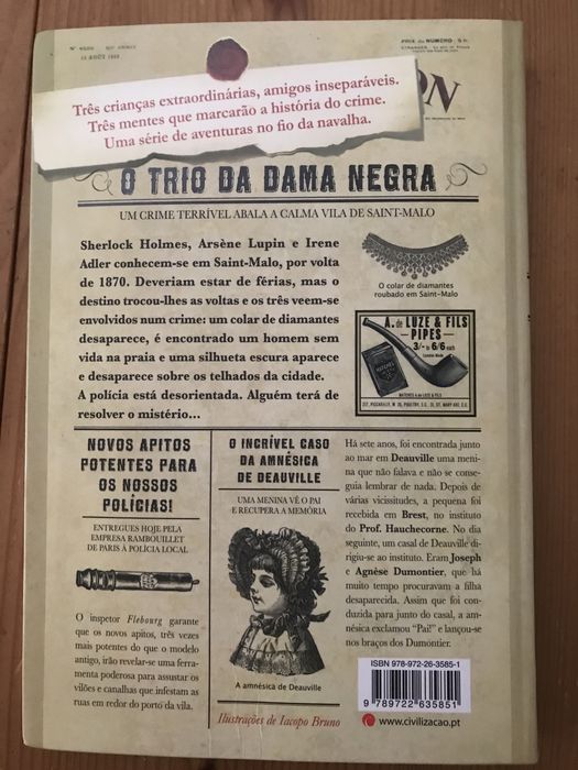 Sherlock, Lupin e eu, de Irene Adler