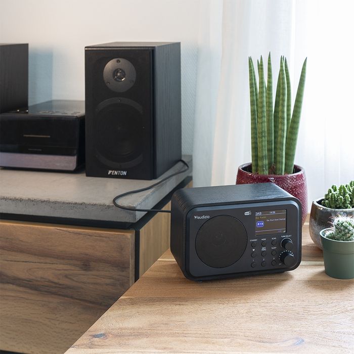 Radio Sieciowo-Bateryjne Dab+, Fm Audizio Milan