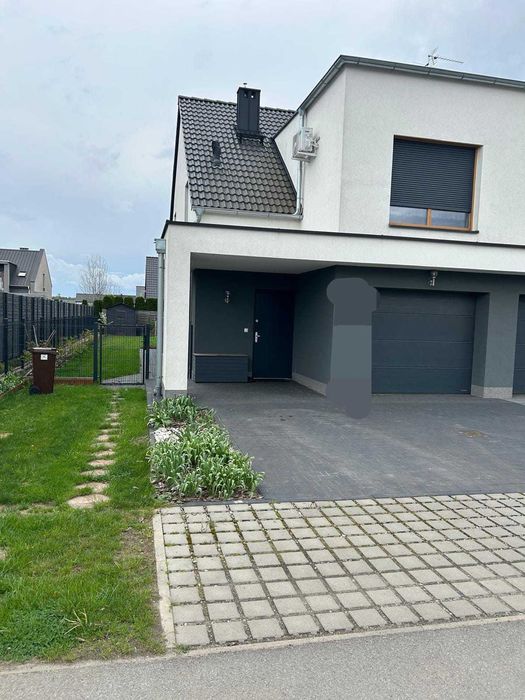 Atrakcyjny bliźniak