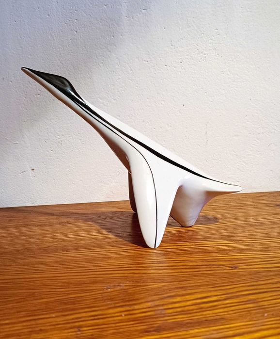 Kaczka w Podlocie Mieczysław Naruszewicz Chodzież n. Ćmielów lata 50.