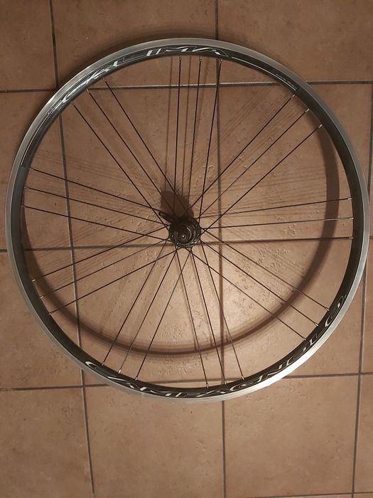 Koła szosowe Campagnolo Calima
