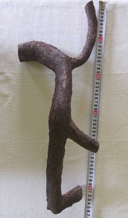 korzeń drewno do terrarium