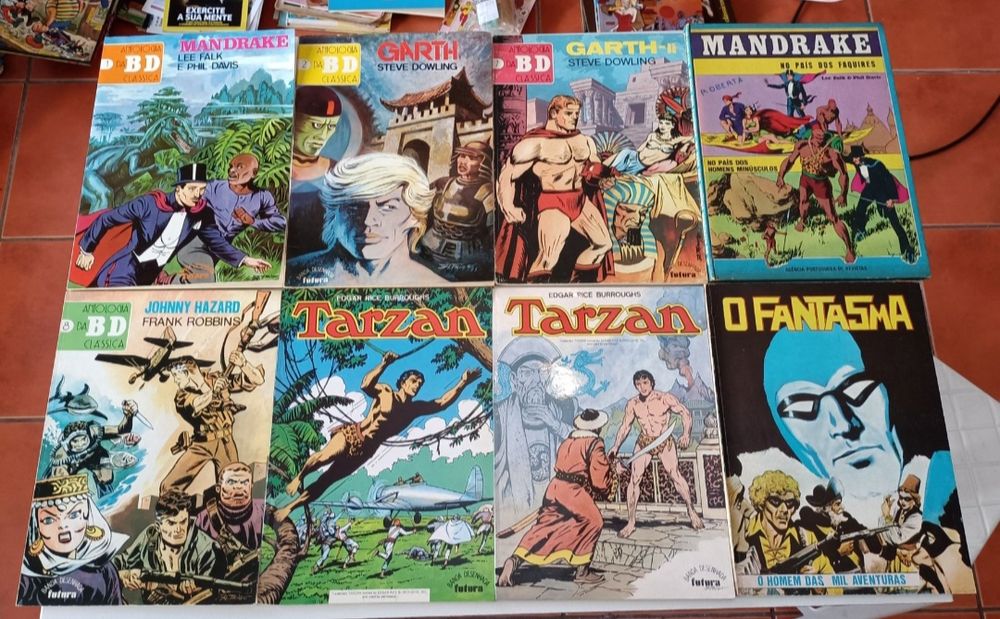 26 Livros BD Vento nos Salgueiros, Em Busca do Pássaro...