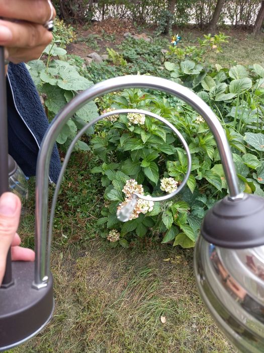 Żyrandol  używane