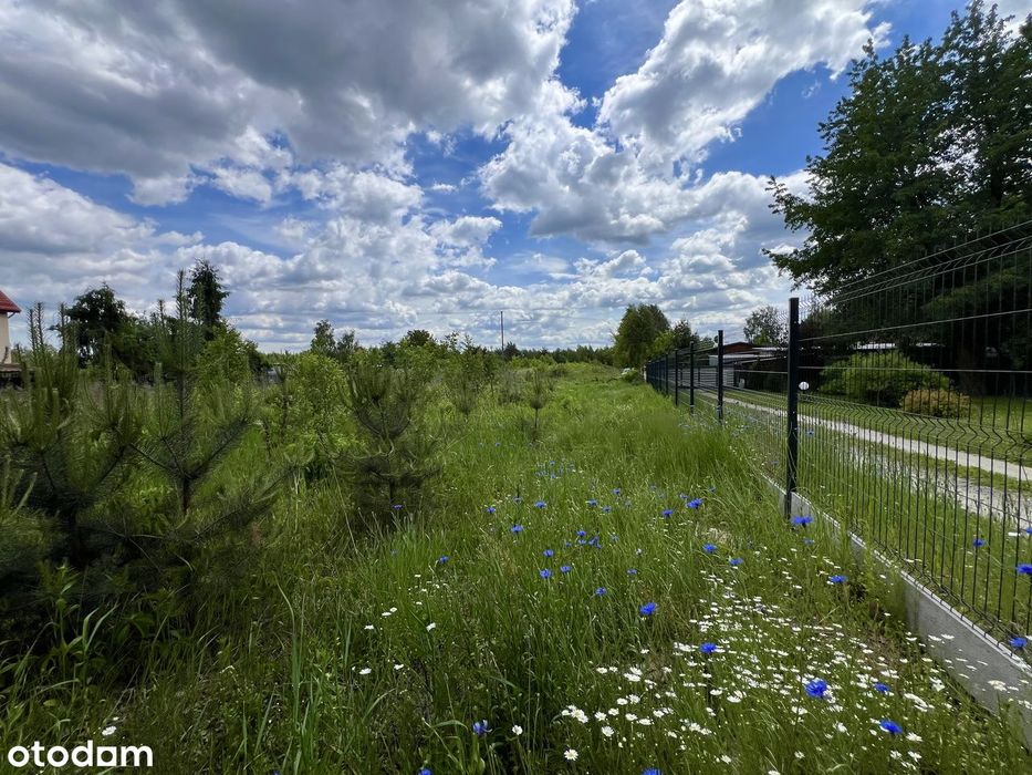 Dom 104 M² + 2 Budynki Gospodarcze + 80 Arów Gruntu —Skrobów, Lubartów