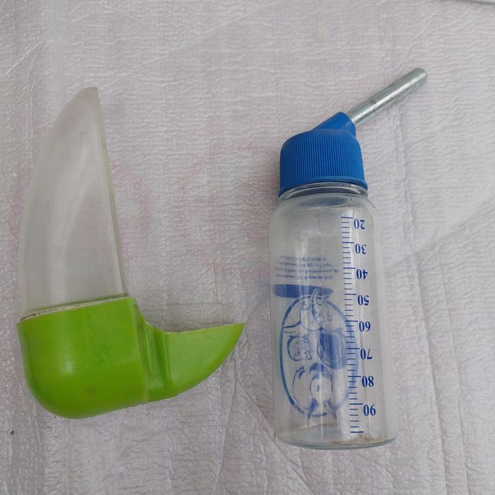 Переноска для птиц, грызунов, аксессуары.