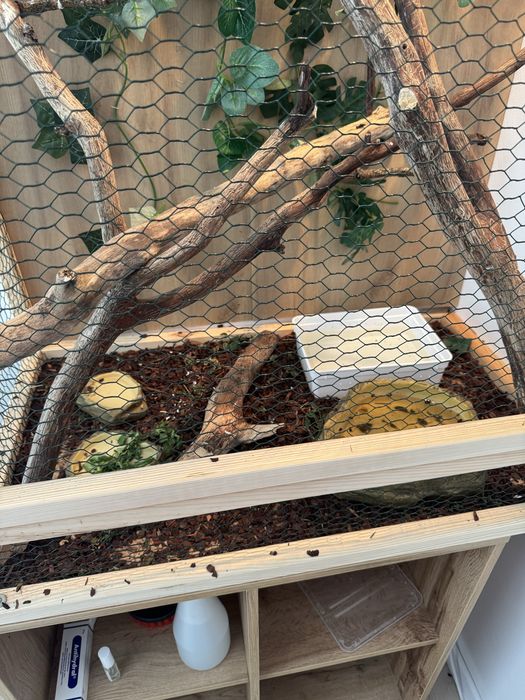 Sprzedam terrarium 54x88x152