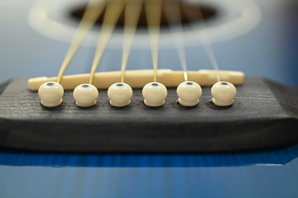 Gitara elektroakustyczna Harleya z pokrowcem