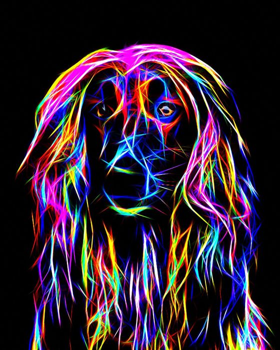 Принтер Oki Pro 6410 neon с неоновыми красками светятся