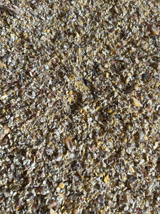 Крупа кукурудзи суха