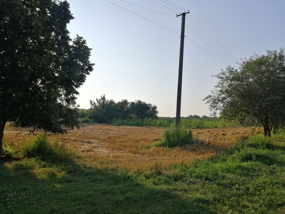 Продам дві суміжні земельні ділянки 0.23+0.27=0.50га. м.Яготин 4км.від