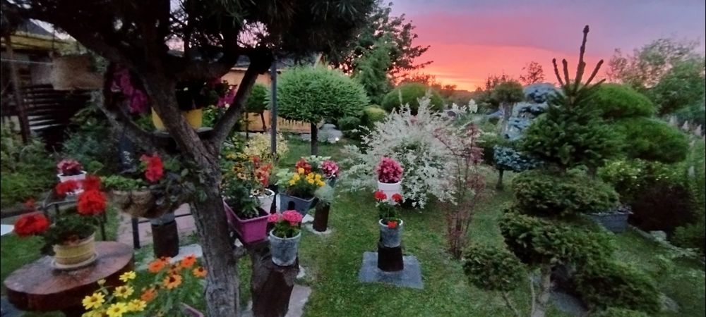 Działka ROD KAILINA Kalinówka - Widok 2