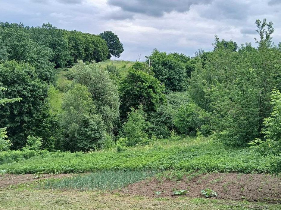 Продам ділянку з гарним краєвидом по вул. Гайдамацька, м. Обухів!