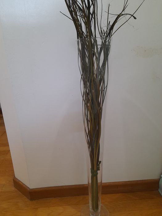 Para decorar com economia