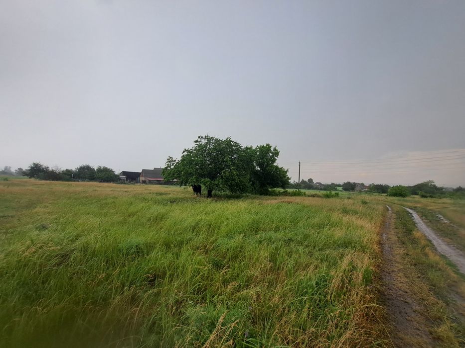 Земельна ділянка с. Військове, Дніпропетровська область