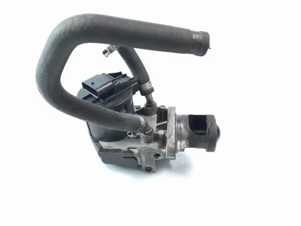 Válvula EGR BMW 1 (F20)