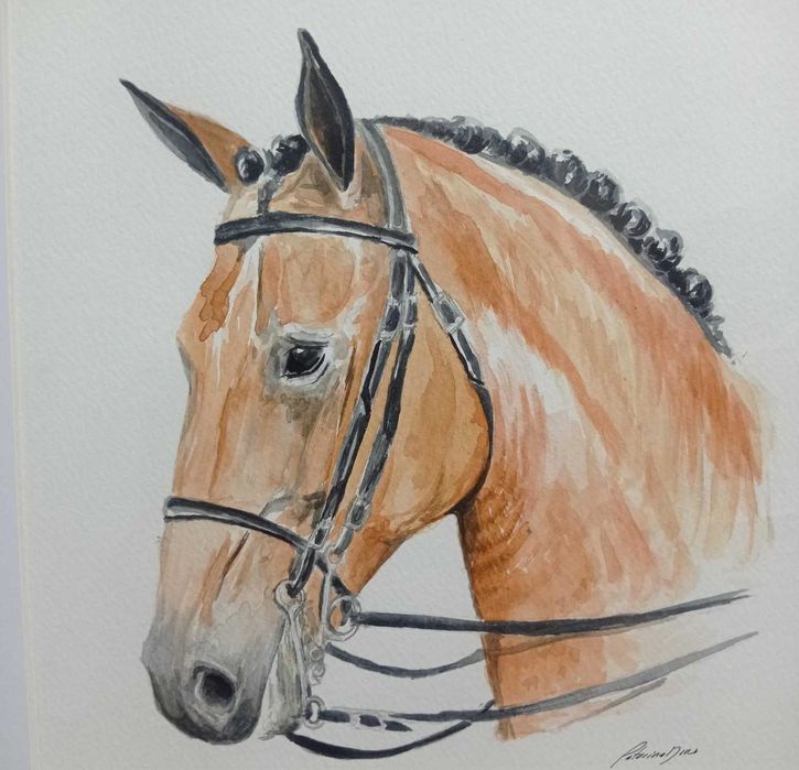 Retratos por encomenda do seu animal