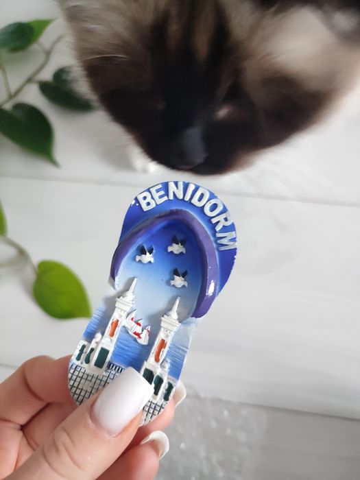 Magnes na lodówkę Hiszpania Benidorm niebieski nowy klapek japonek