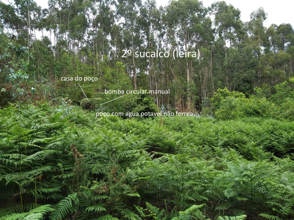 Terreno em Baguim do Monte com 6070M2 (rustico)