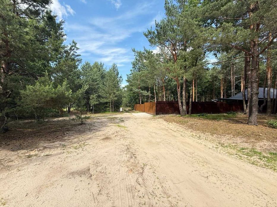Продам ділянку 12 сот.- межує з сосновим лісом! Тиша, свіже повітря, сосни - атмосфера відпочинку гарантована! - View 3