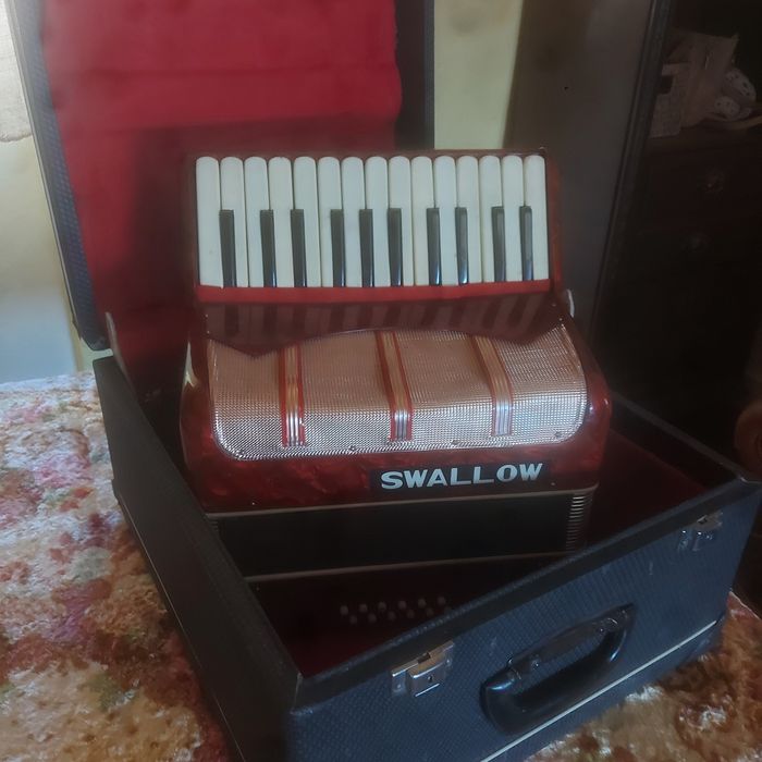 Acordeão em bom estado