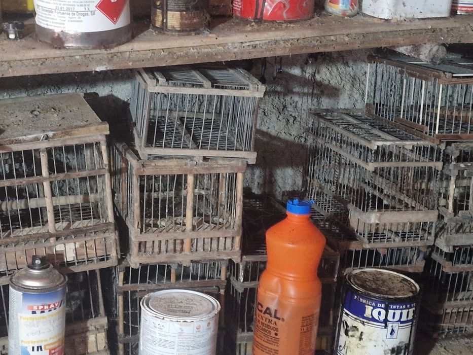 Gaiolas para pássaros de pequeno porte
