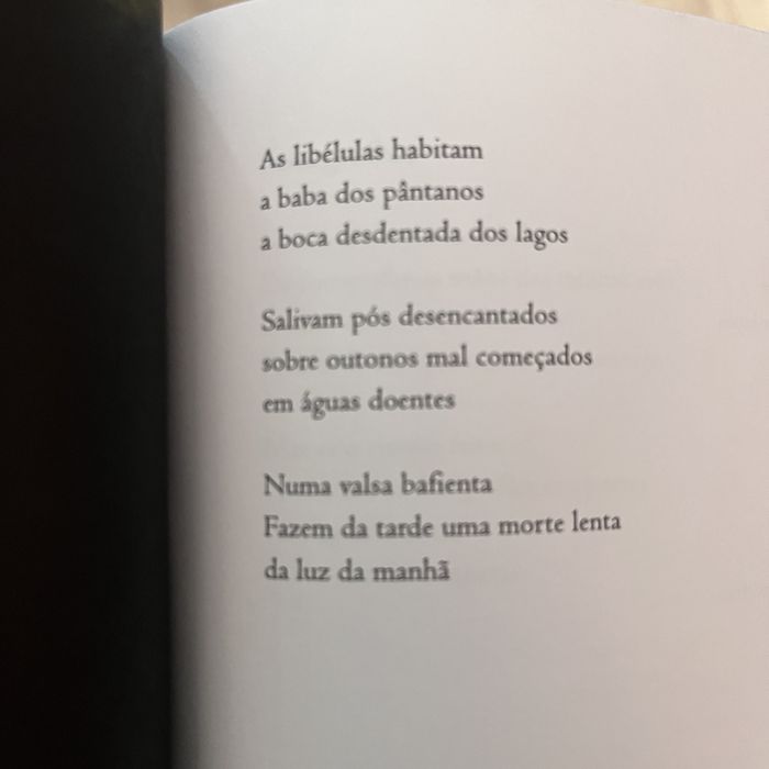 Emergente - Novos Poetas Lusófonos : antologia (envio grátis)