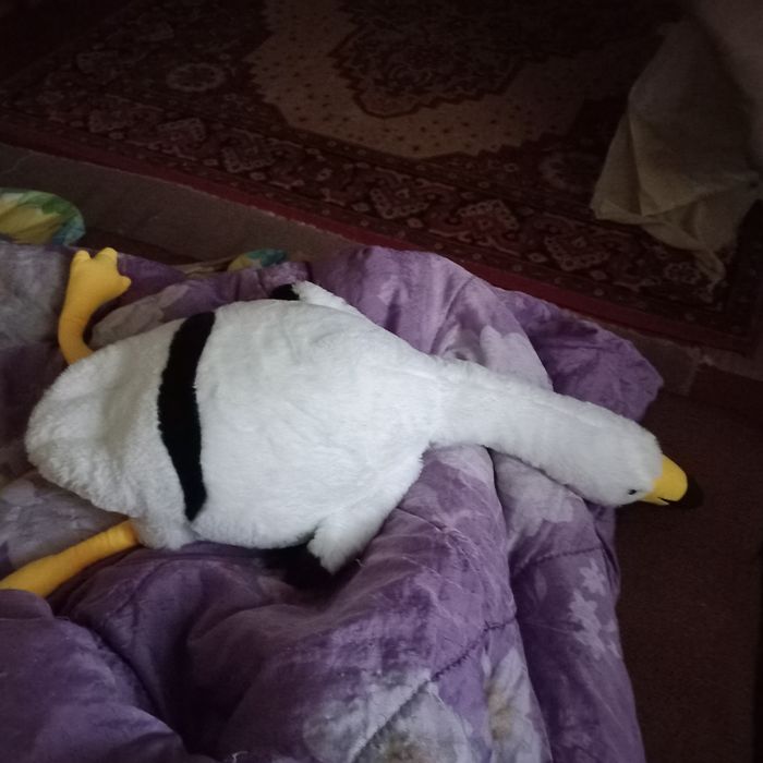 Игрушки детские мягкие и  термосс